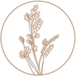 aboutus rangdokht